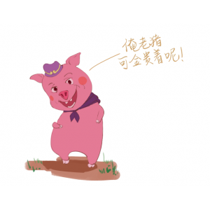 戴上這枚耳標(biāo)，你就是一只有身份的豬